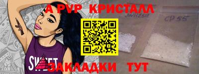 2c-b Кингисепп