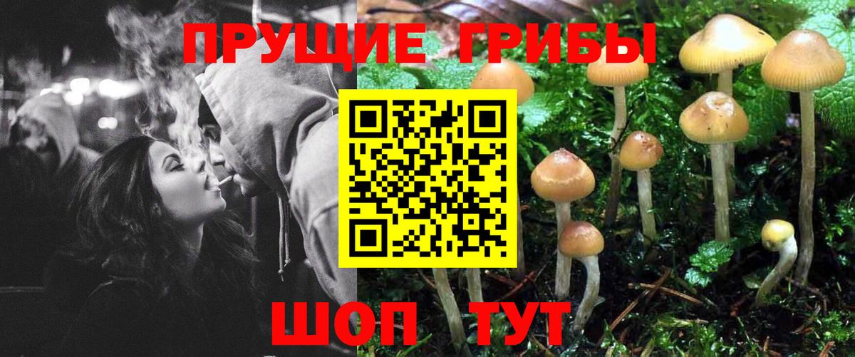 Галлюциногенные грибы Cubensis Нарьян-Мар