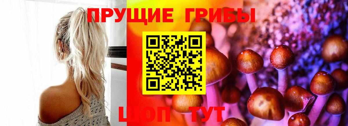 цены   Псилоцибиновые грибы GOLDEN TEACHER  Нарьян-Мар  Вход с VPN  Псилоцибиновые грибы GOLDEN TEACHER 